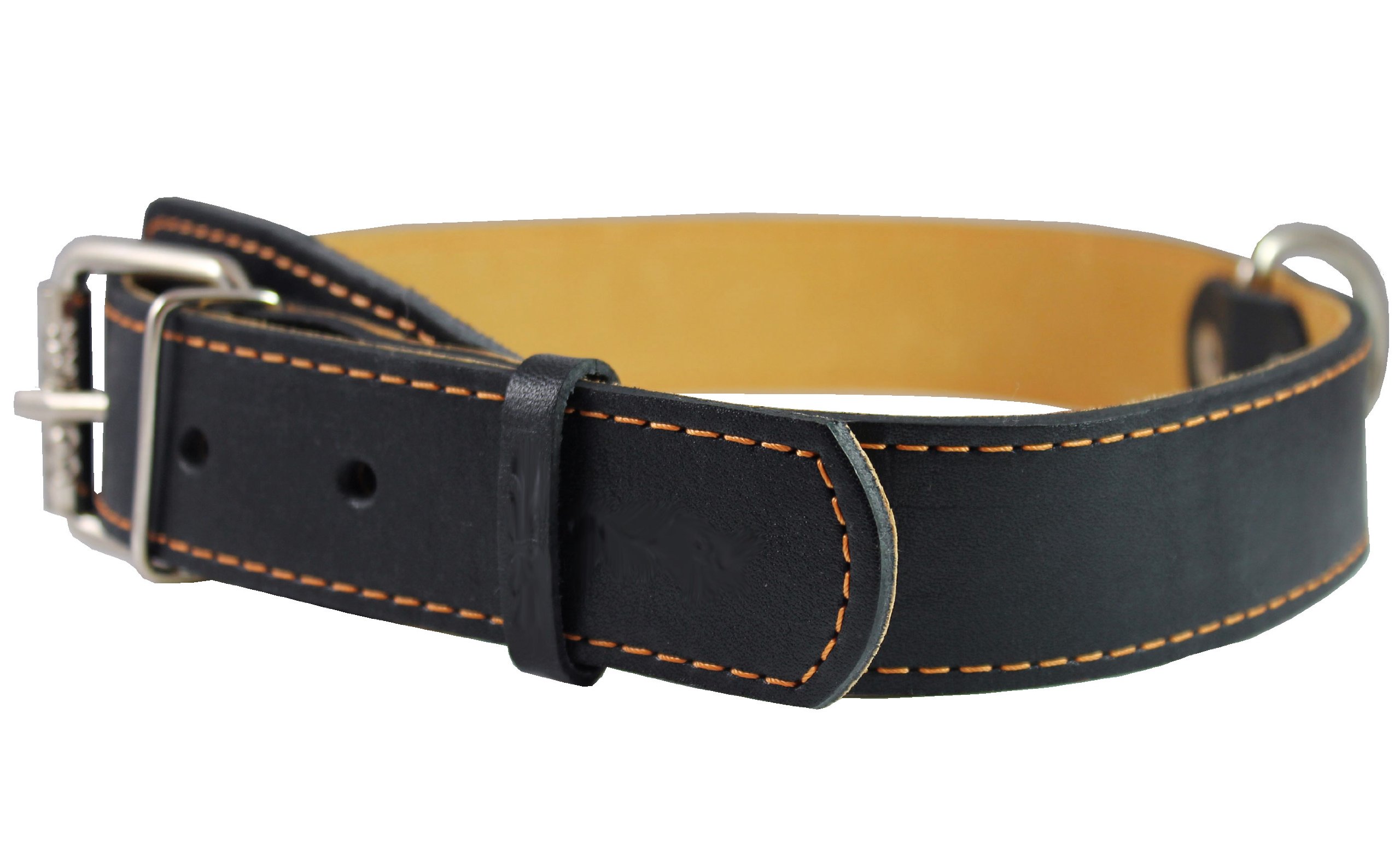 Amazon.com : Genuine Thick Leather Collar for Large and XLarge