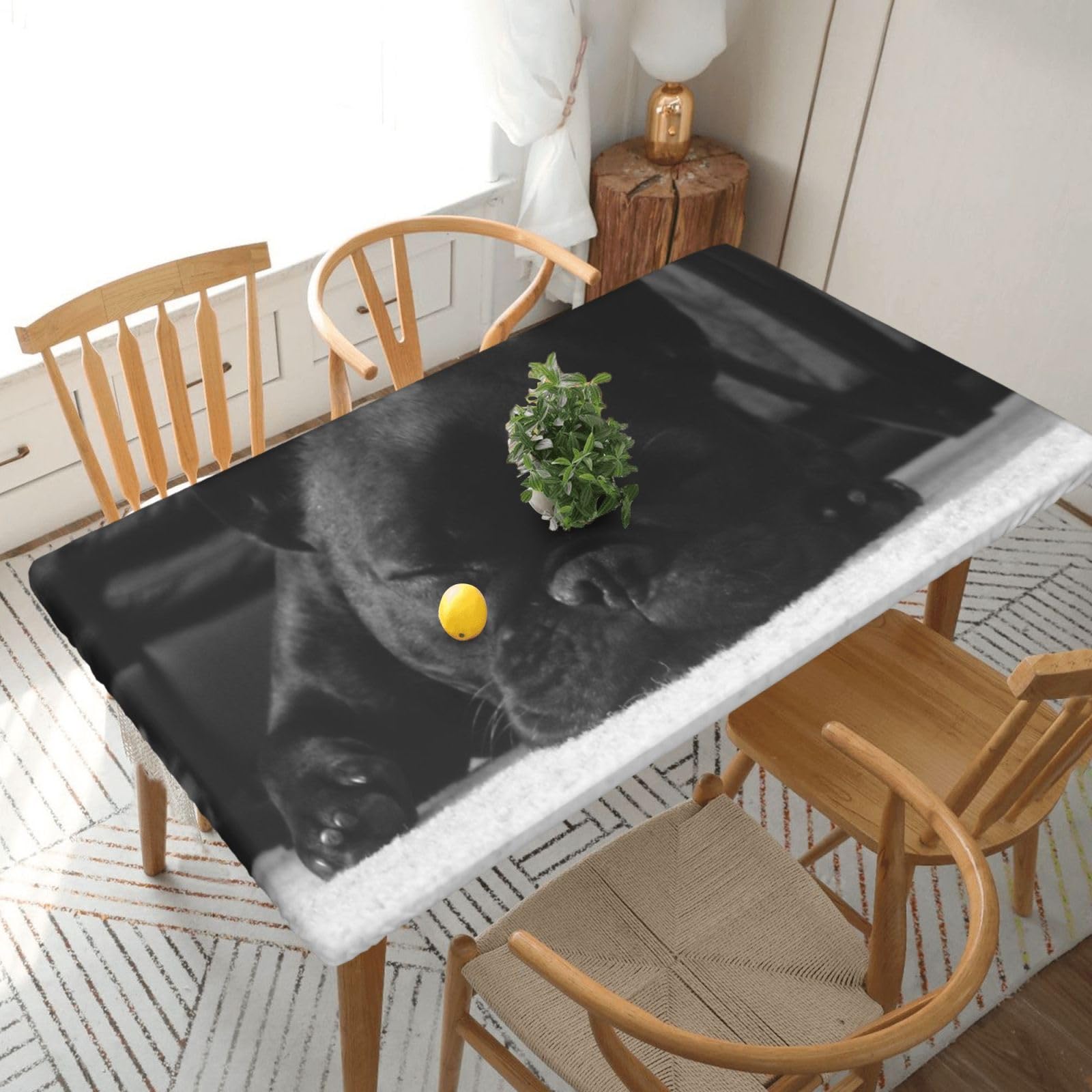 DCEHGEW Elastic Fitted Rectangle Tablecloth for 5ft Tables, french bulldog Printed Oilproof & Washable Fabric Picnic Table Cloth Table Covers