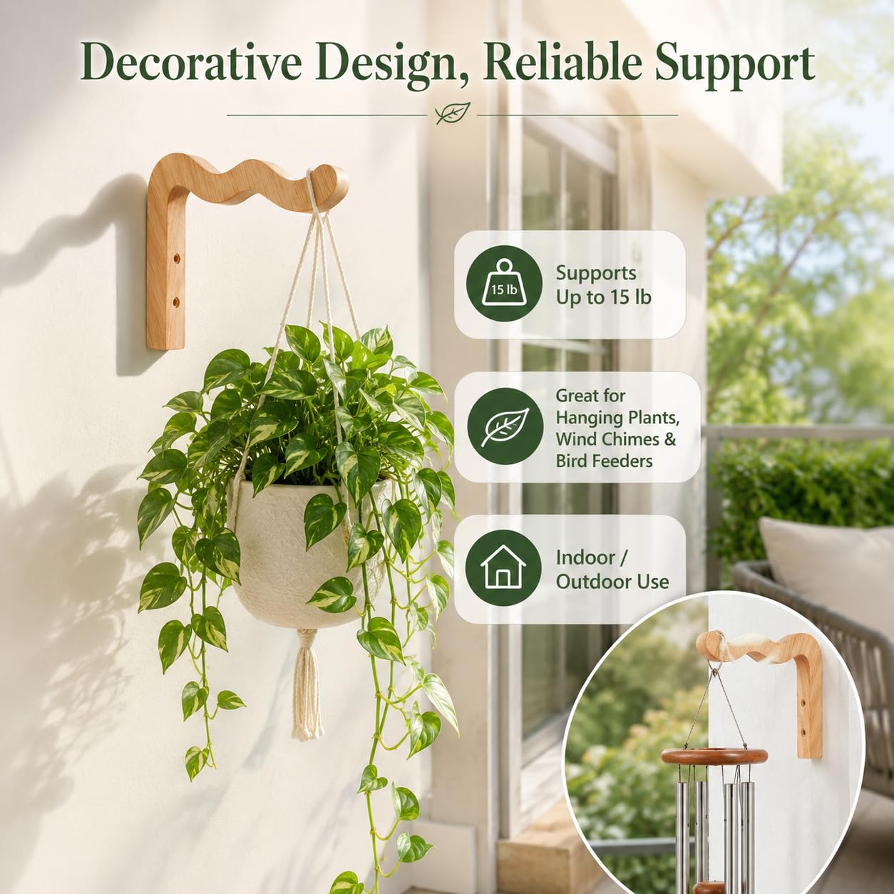 lucky bamboo inc Dracaena 'Lucky Bamboo' main image 1