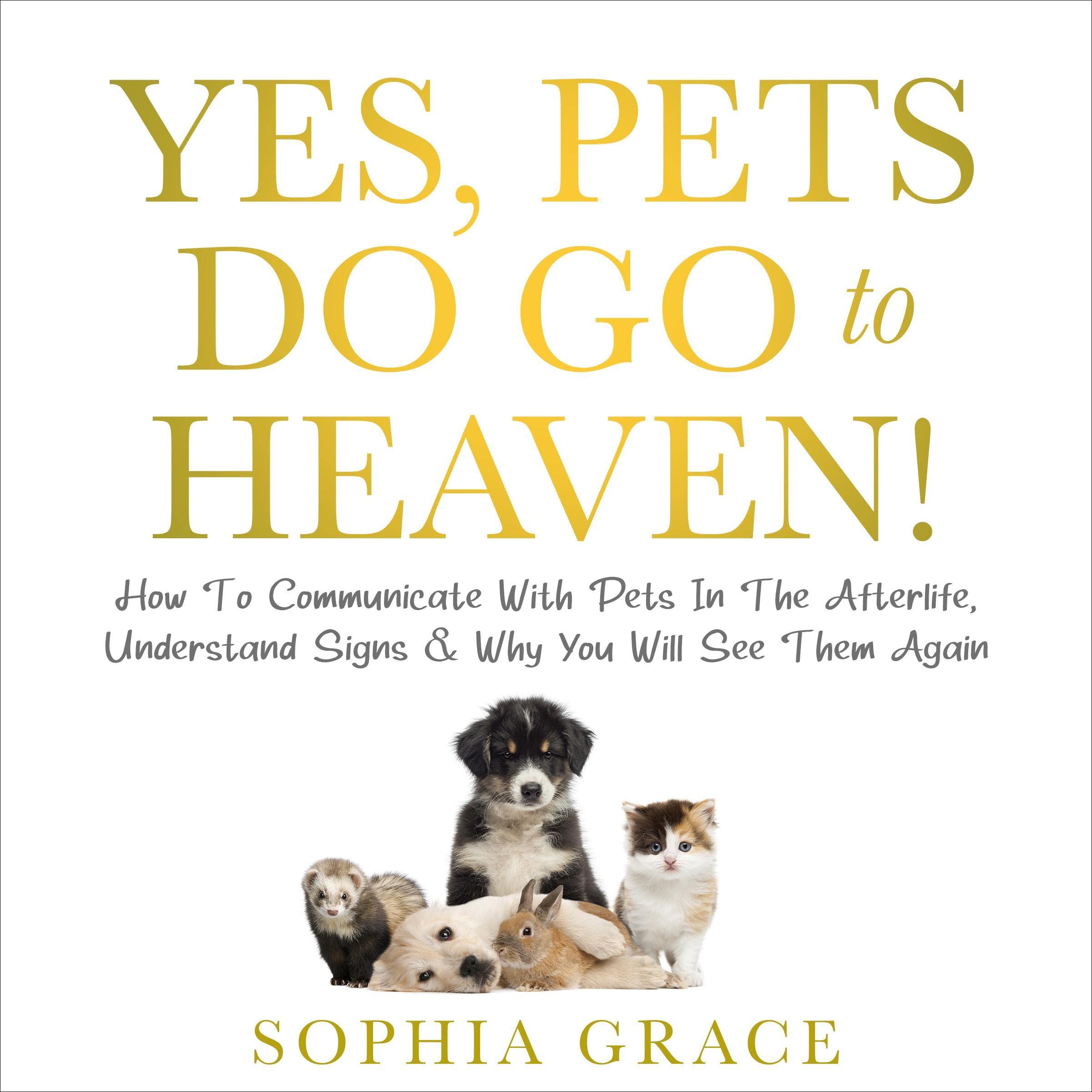 Yes, Pets Do Go to Heaven!