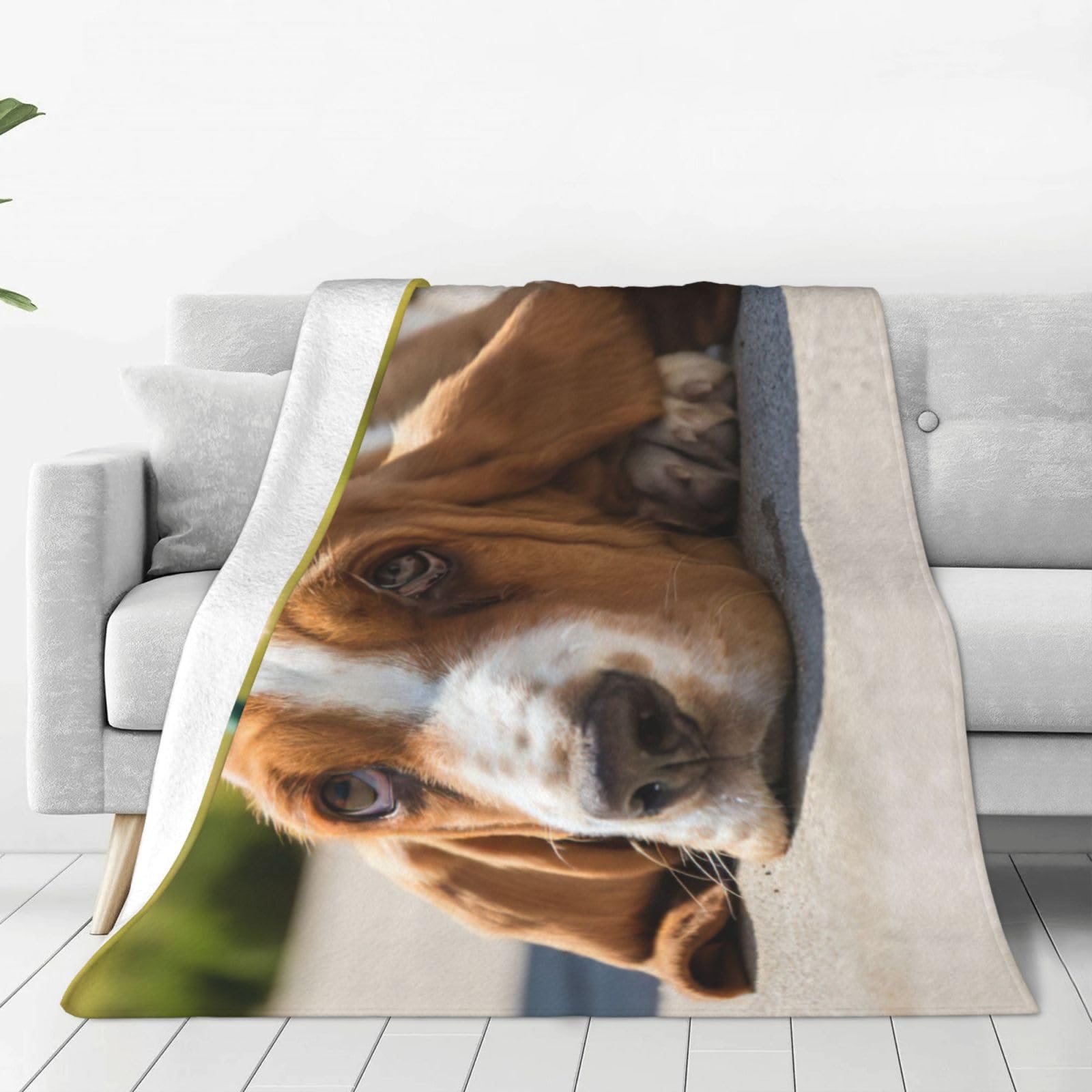 Couverture polaire douce basset anti-froid pour lit et canapé
