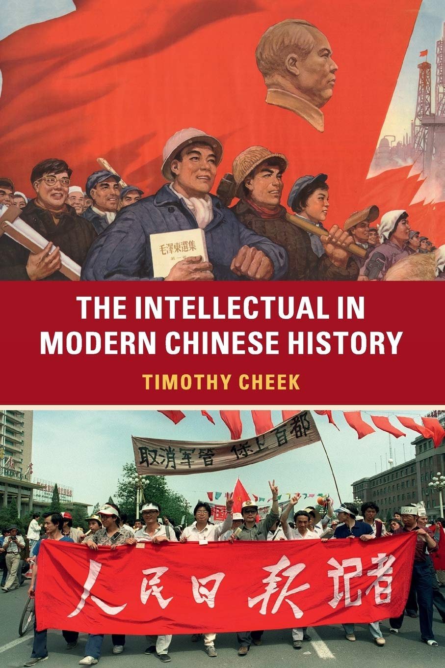 The Intellectual in Modern Chinese History by Timothy Cheek - 9781107643192