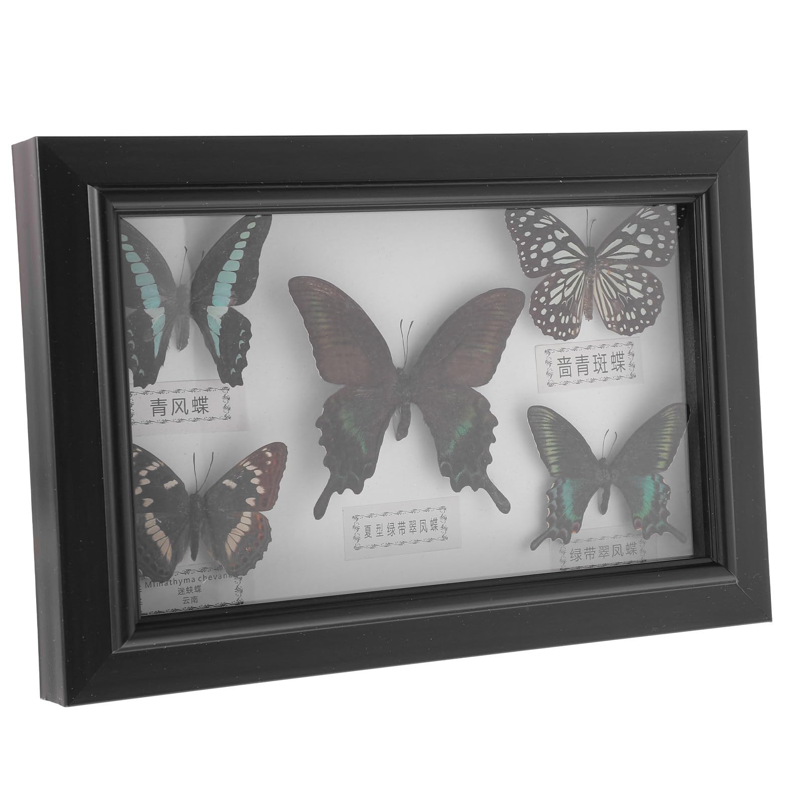 Mariposa decorativa en marco de madera ideal para regalar 8