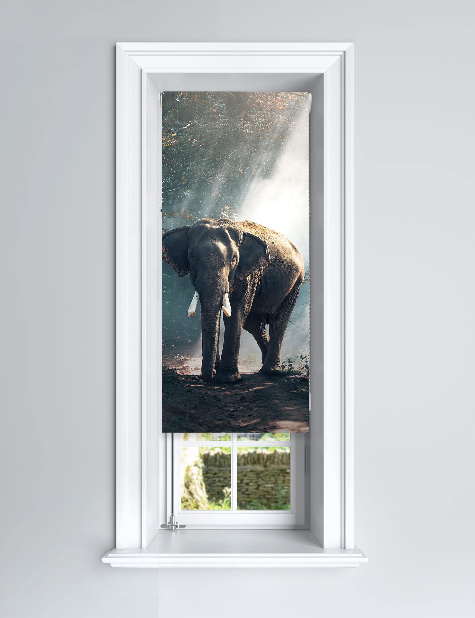 Lister Cartwright Photographic Blackout Roller Blind - (60 x 140 cm) Printed Colourful Roller Blind Easy Fit Window Blind with Child Safety - Bedroom Bathroom Kitchen & Living Room - Elephant