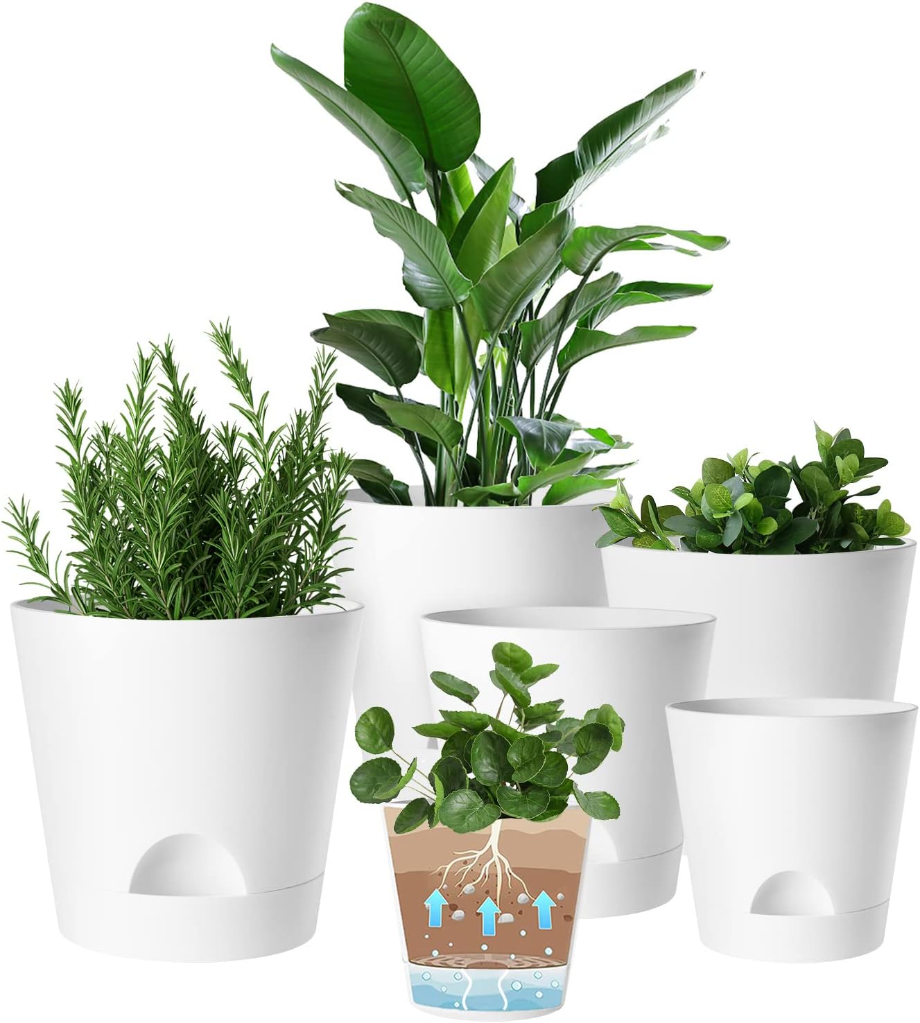 6 Pack Plant Pots Indoor, 8/7/6.5/6/5.5/5 Inch Plastic Self Watering Planters with Detachable Reservoir and Drainage Holes, Modern White Flower Pots for Decorative Indoor Outdoor Plants (White) - Amazon product rated Grade B