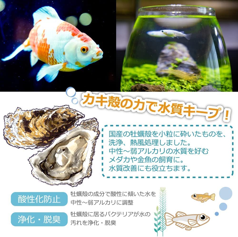 Amazon.co.jp: 国産 かき殻 900g 金魚 メダカ用 脱酸素剤入り