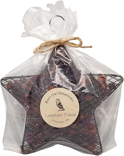 Barn Owl Botanicals Decoración de estrella de malla de alambre de popurrí campos de lavanda
