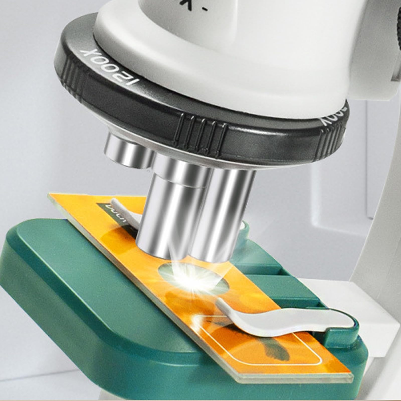 Set microscopio pratico per studenti scienziati migliora le capacità osservazione Regalo educativo sicuro Giocattolo per la scoperta scientifica dei bambini