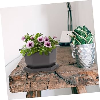 【ゆんな】鉢2個セット 受け皿付き 21LgpETSzML.jpg_BO30,255,255,