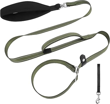 XiaZ 6FT Dog Leash with Comfortable Flat Collar and Soft Padded Handle,Nylon Reflective Double Handle No Pull Leash for Small Medium Large Dogs, Training Walking Running Green