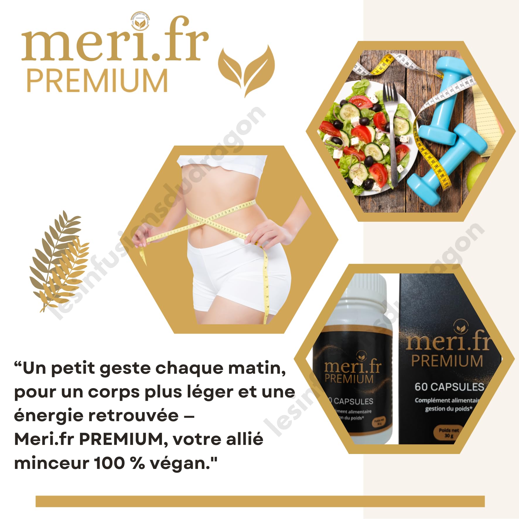 Meri.fr PREMIUM – Nouvelle Formule Efficace à la L-Carnitine | 60 Gélules Naturelles | Aide au Contrôle de l’Appétit & Métabolisme des Graisses | Expédié depuis la France