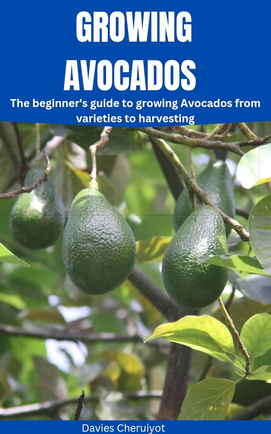 GROWING AVOCADOS The beginner's guide to growing Avocados GROWING AVOCADOS The beginner's guide to growing Avocados