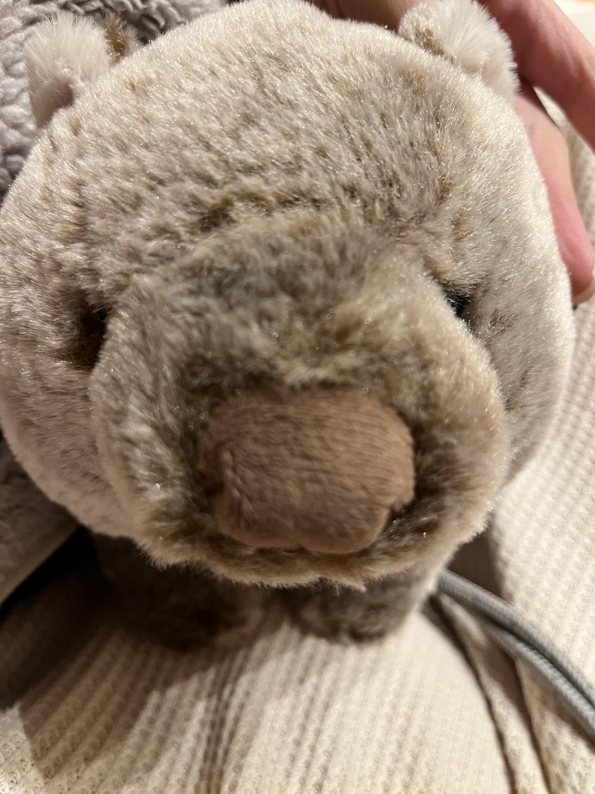 お客様イメージ