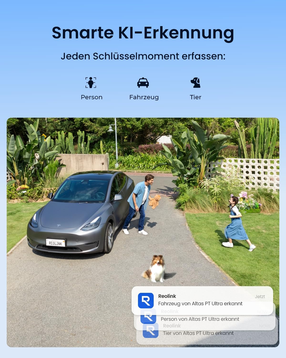 Reolink 4K Solar Überwachungskamera Aussen Akku Set, 20000mAh Akku, Auto-Tracking, ColorX-Nachtsicht, WLAN Kamera Outdoor mit WiFi 6, Lokaler Speicher, Ohne ABO-Gebühren, 2×Atlas PT Ultra mit Home Hub