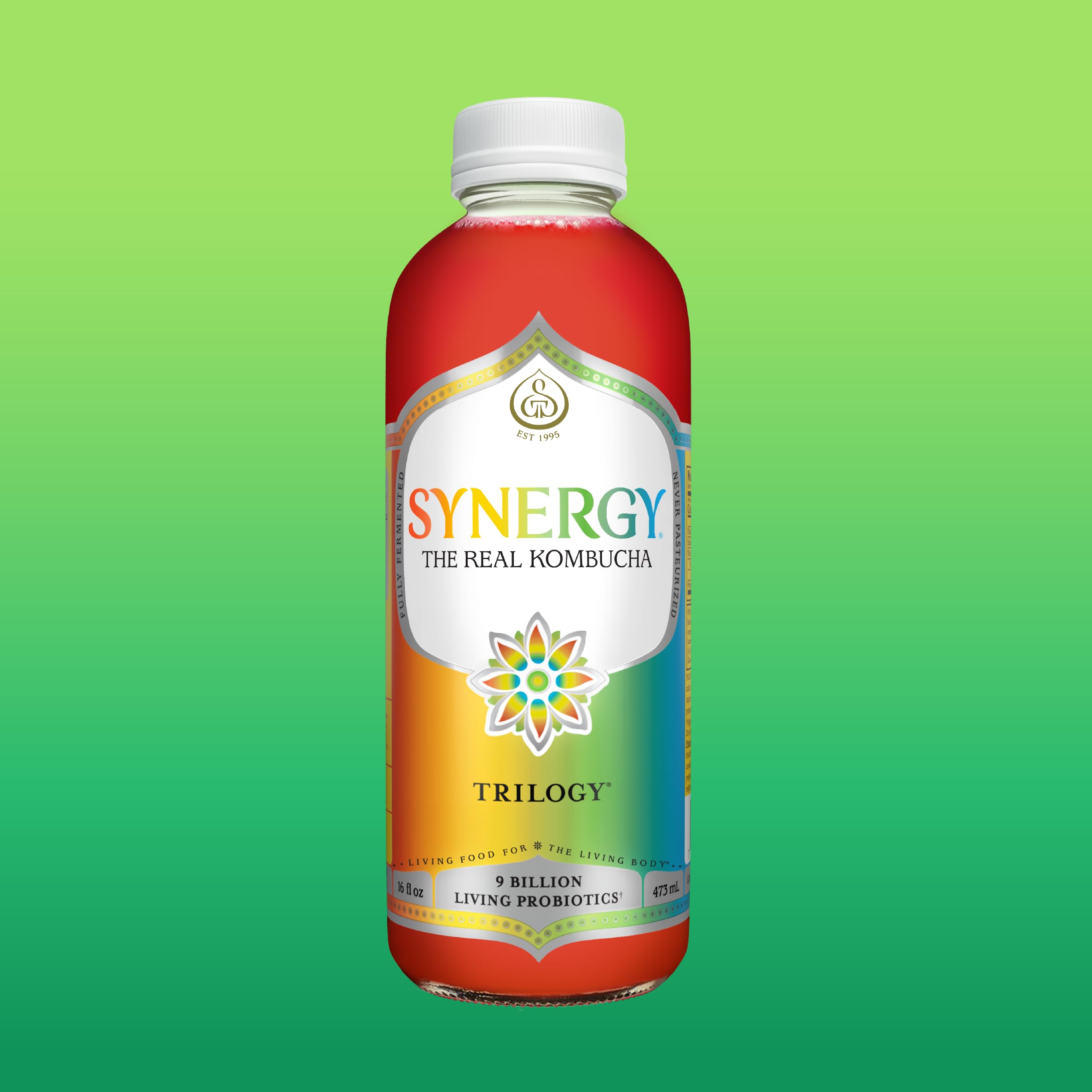 SYNERGY The Real Kombucha Trilogy Kombucha - 16 fl oz Bottle - Raw Probiotic Drink for Gut Health and Immune Support
