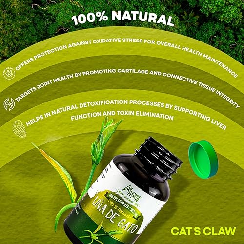 Miniatura 3 de Uña de Gato (Uncaria Tormentosa) Cápsulas l 1000 mg por porción de superalimento l Articulaciones, Partidario de sistemas inmunes y cardiovasculares