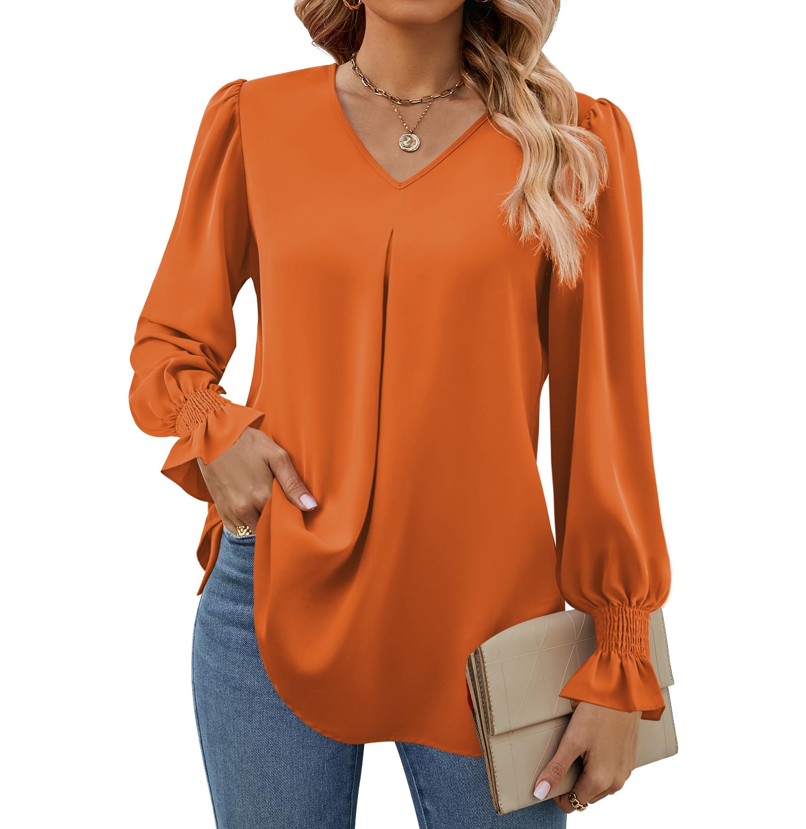 Funlingo Women's 2024 Long Sleeve Tops Dressy Casual V Neck Tunic Shirts Loose Chiffon Work Blouse