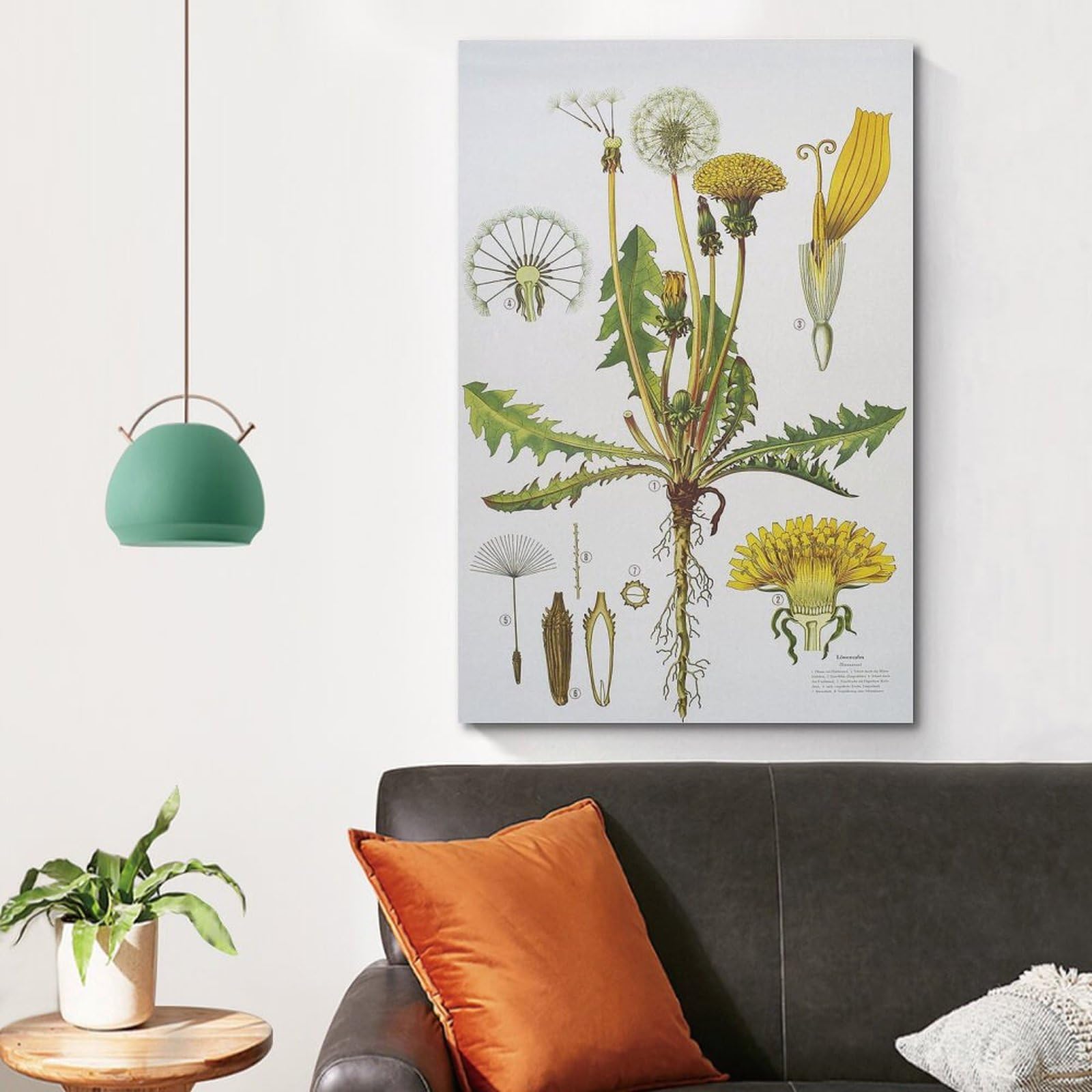 HNPBB Plakat w stylu vintage, ilustracja mniszka lekarskiego, plakat dekoracyjny, płótno, plakat ścienny i druk artystyczny, nowoczesna dekoracja sypialni rodzinnej, plakat, 30 x 45 cm