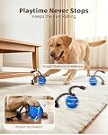 Interactive Dog Toys, 2 Smart Modes Automatic Rolling Ball, Motion Activated Self Moving Dog Ball with Rope, LED Lights & Bird Chirping, USB-C Rechargeable for Small to Large Dogs (Blue)