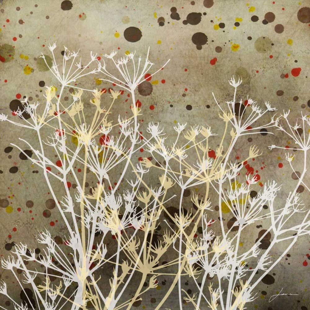 Lienzo con caja americana Weeds I Burghardt James - Cuadrado abstracto impresión botánica abstracta malas hierbas tallos hoja hoja marco flotante 26_X_26_in