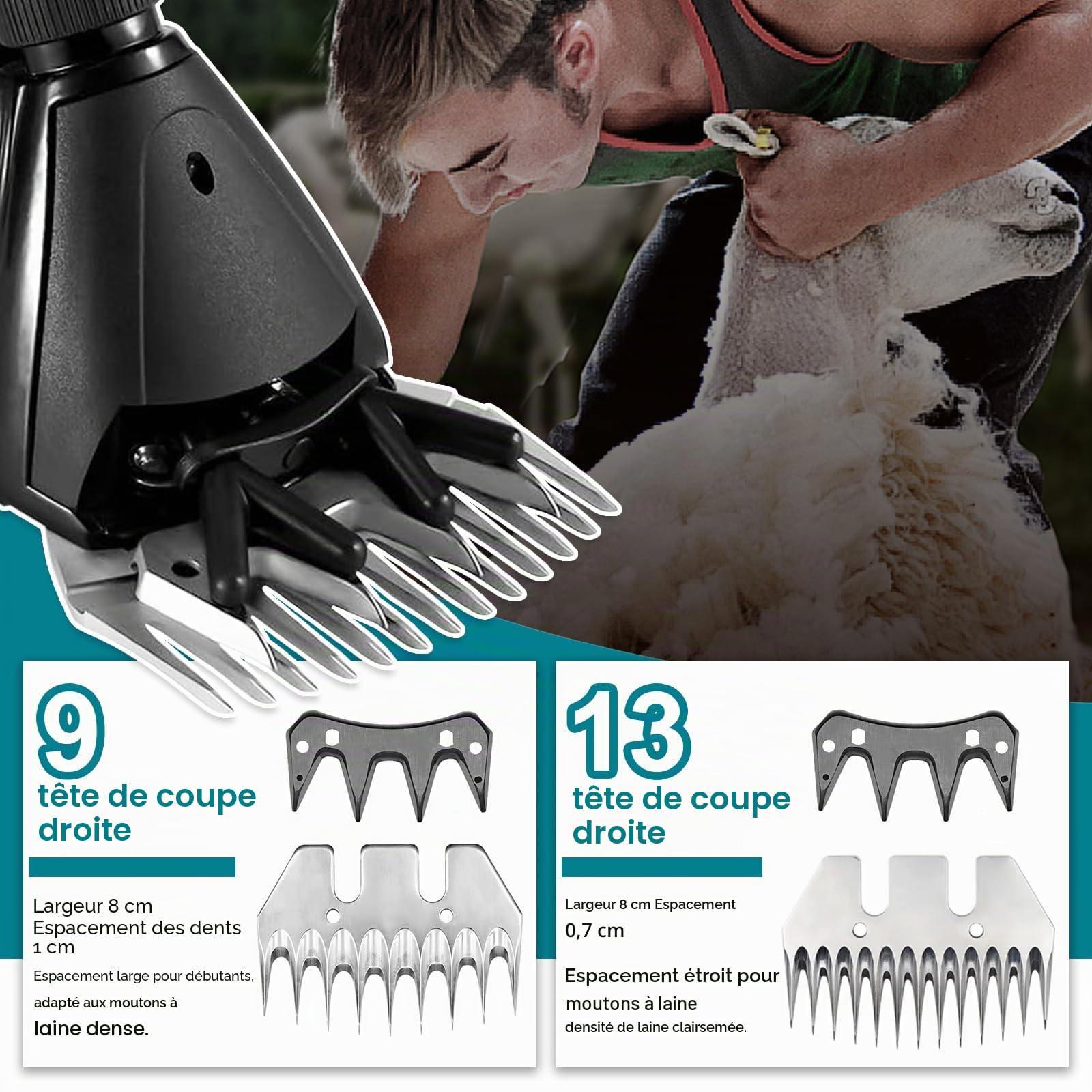Tondeuse pour Moutons,Tondeuse Électrique 2400RPM Compatible avec Makita18V | Tondeuseà 6 Vitesses avec 2 Lames, TondeuseÉlectrique pour Moutons et Chèvres (SANS Batterie)