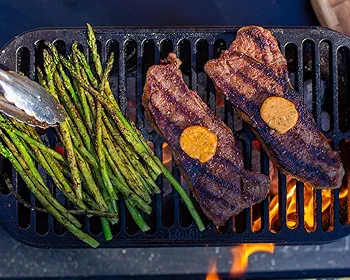 Amazon.com: Lodge Cast Iron Sportsman's Pro Grill : Patio, Lawn