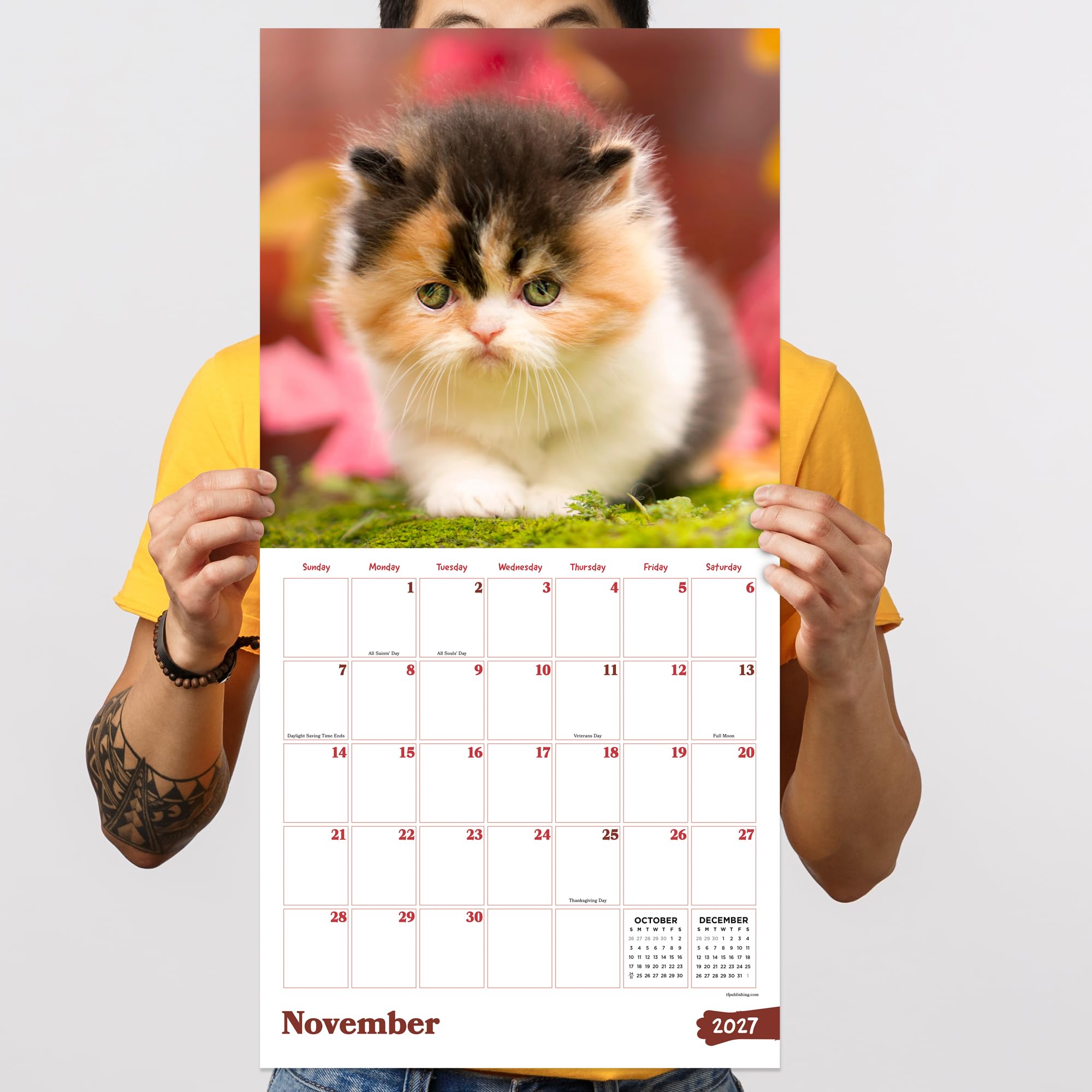 Cathy, カレンダー Amazon.com: TF Publishing 2027 Kittens Wall Calendar - 12 x 12