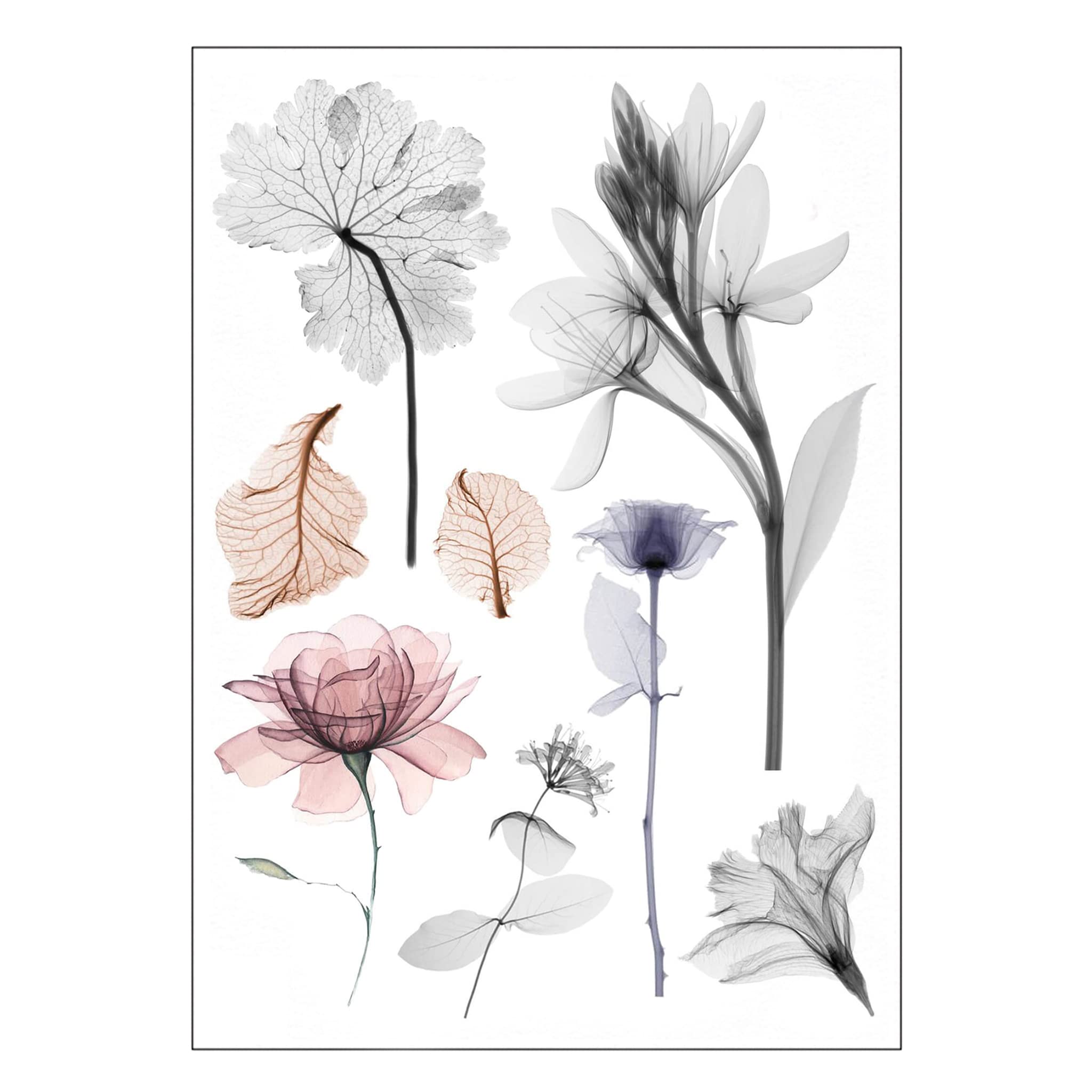 Watercolour Flowers Temporary Tattoo Sets - Realistic Waterproof Floral Transfer Stickers Body Art Men Women Kids - By Delusion Tattoos (Design 11), Black, 15cm x 21cm