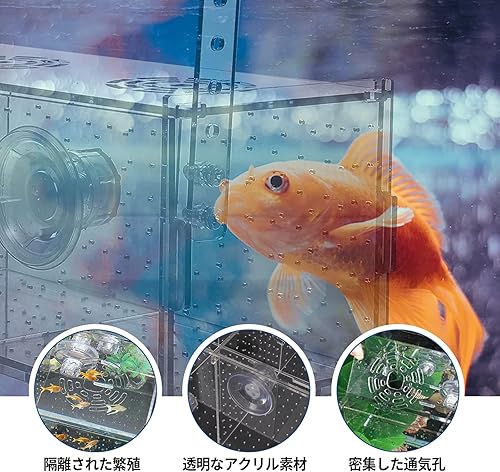 Miniatura 3 de Caja de cría de peces, caja de aislamiento acrílico, incubadora de incubadora de acuario con ventosas para alevines recién nacidos, camarones,