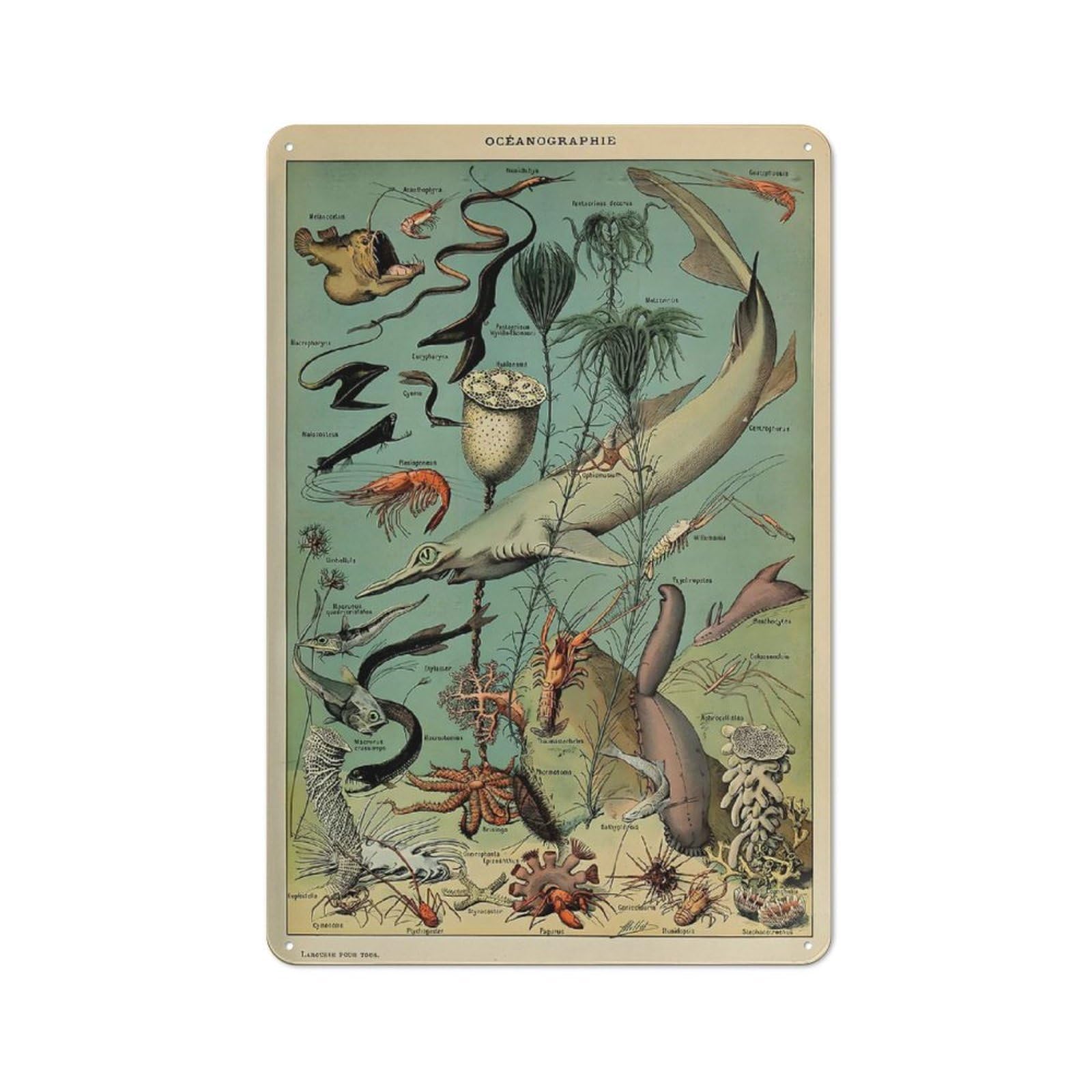 Ocean Life Metal Wall Plaque 30x20cm, Character Room Wall Plaque for Hallway, Home Bar, Garage Or Study