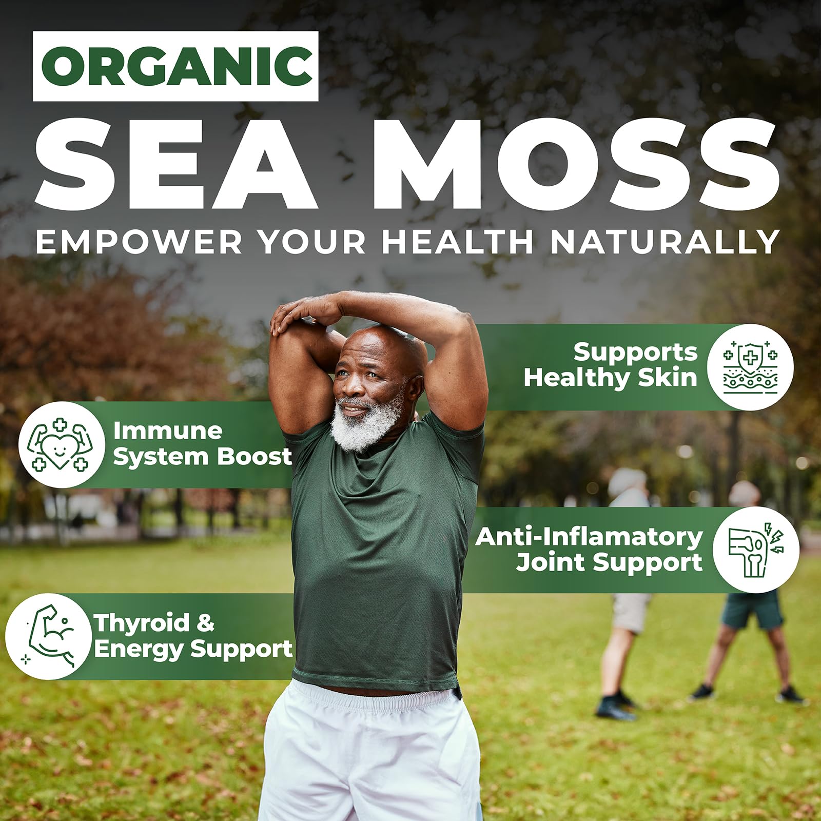 Mousse De Mer D'Irlande Biologique Kenofor – Capsules 400mg – Immunité, Thyroïde