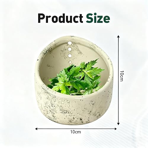 Miniatura 2 de Taza de pelador de hierbas de cerámica, Taza de pelador de hierbas de cerámica mejorada, Taza de pelado de hierbas de cerámica hecha a mano con