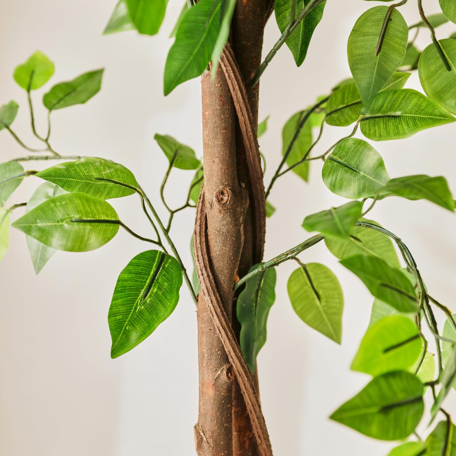 Bonerva | Ficus Nature 180 cm Altura | Planta Artificial con Tronco Natural | Ideal para Decorar Interiores: hogares, Negocios y hoteles