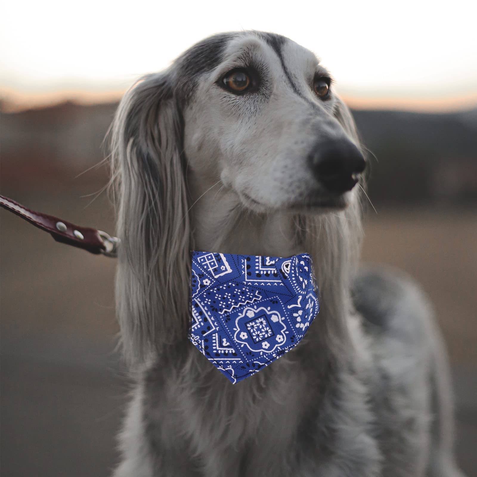Kerst-Turban voor huisdieren, 2 stuks huisdierbandana's, driehoek slabbetje, bandana voor hond en kat, geruite driehoek, kersthuisdier accessoire decoratie Kerst-Turban voor huisdieren, 2 stuks huisdierbandana's, driehoek slabbetje, bandana voor hond en kat, geruite driehoek, kersthuisdier accessoire decoratie