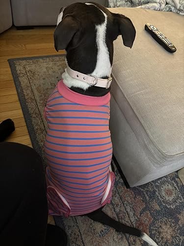 Amazon | 犬用リカバリースーツ、術後着用 ペット用、男性用女性用