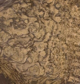 Walnut Burl Wood Veneer 18" x 24" raw no Backing 1/42" Thickness AAA Grade # 101