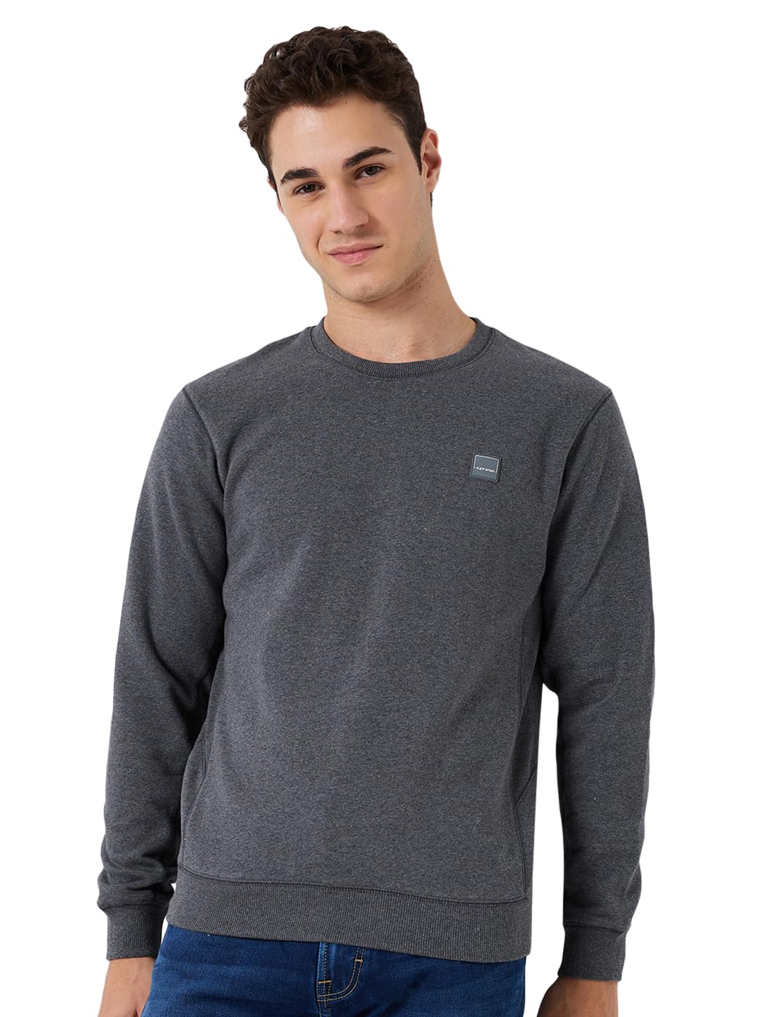 colorplus Color Plus Men Regular Fit Solid Pattern Cotton Polyester Blend Full Sleeve Henley Neck Casual Sweatshirt-picture-16