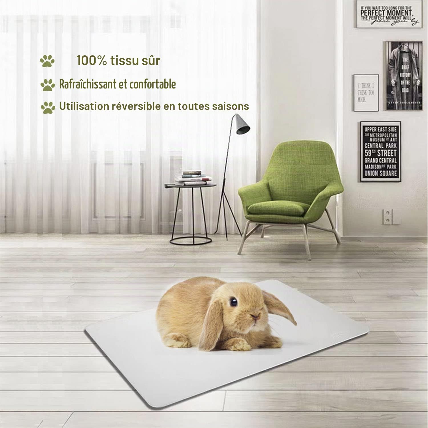 Coussin de Refroidissement pour Lapin 30x20cm Tapis de Refroidissement pour Petits Animaux Restent Cool Assiette Cool Lapin