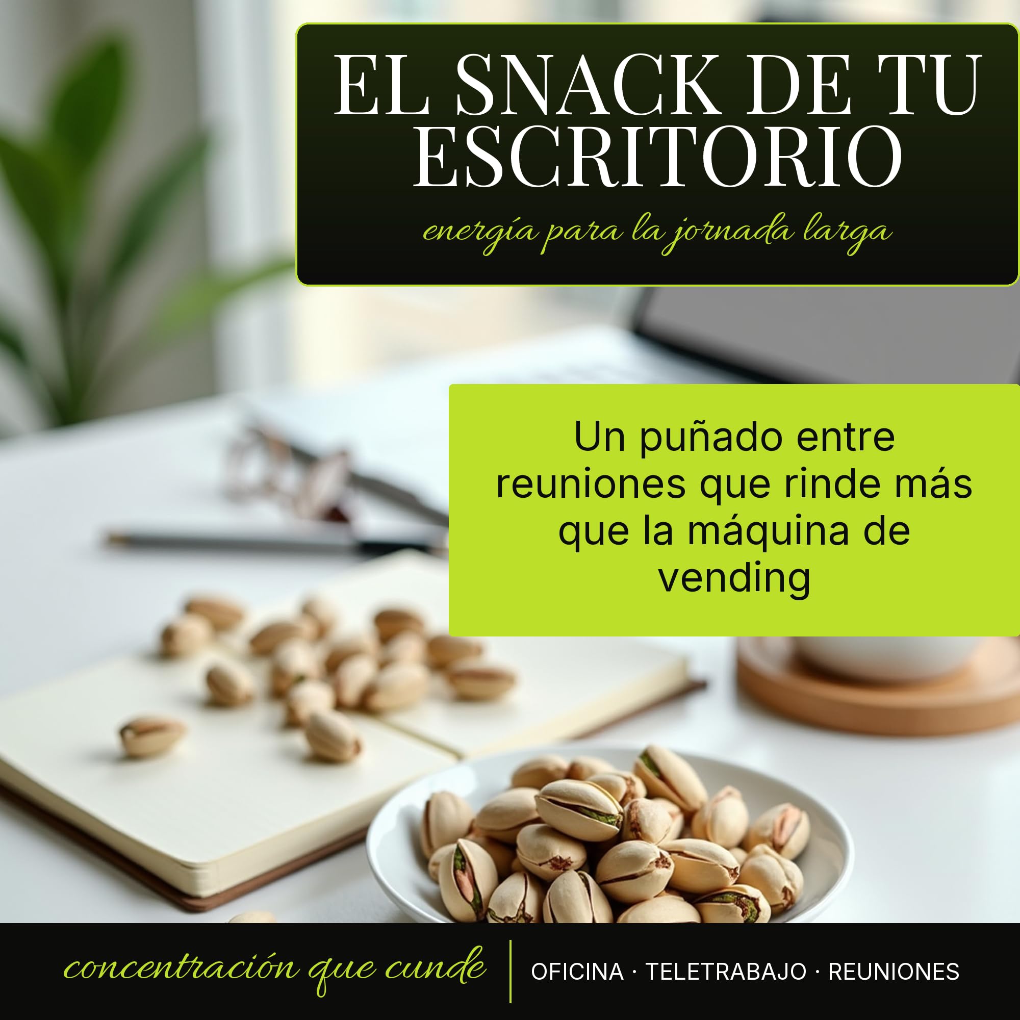 Pistacchi coltivati ​​in Spagna, tostati e salati. 4x250 grammi