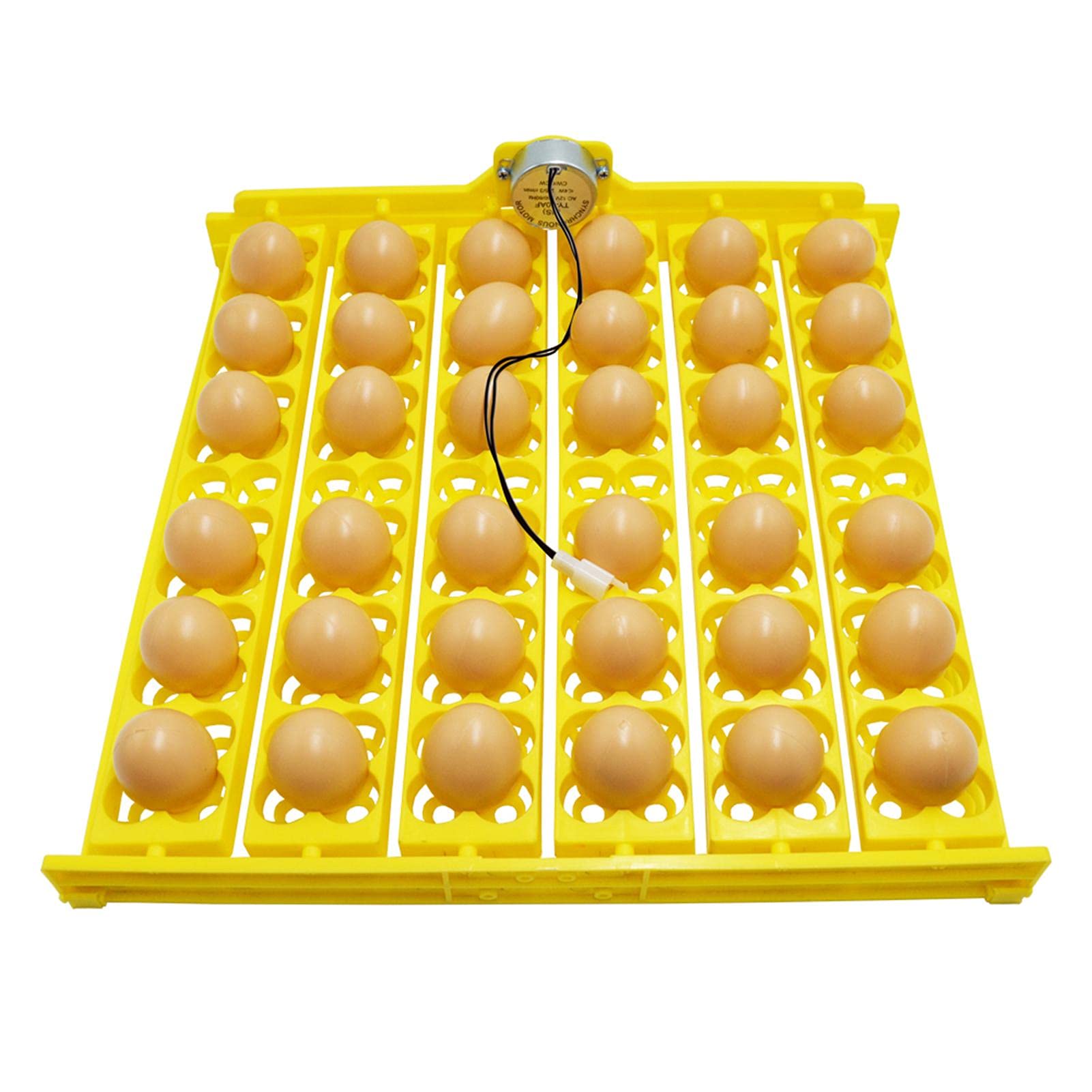 Buy Doans Egg Incubator Fully Automatic Digital Egg Incubators Chicken