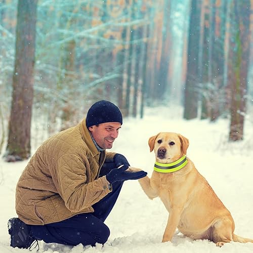 Miniatura 5 de Paterr 2 collares reflectantes para perro, ajustables de alta visibilidad, con cierre de liberación rápida, cómodos accesorios para pasear perros