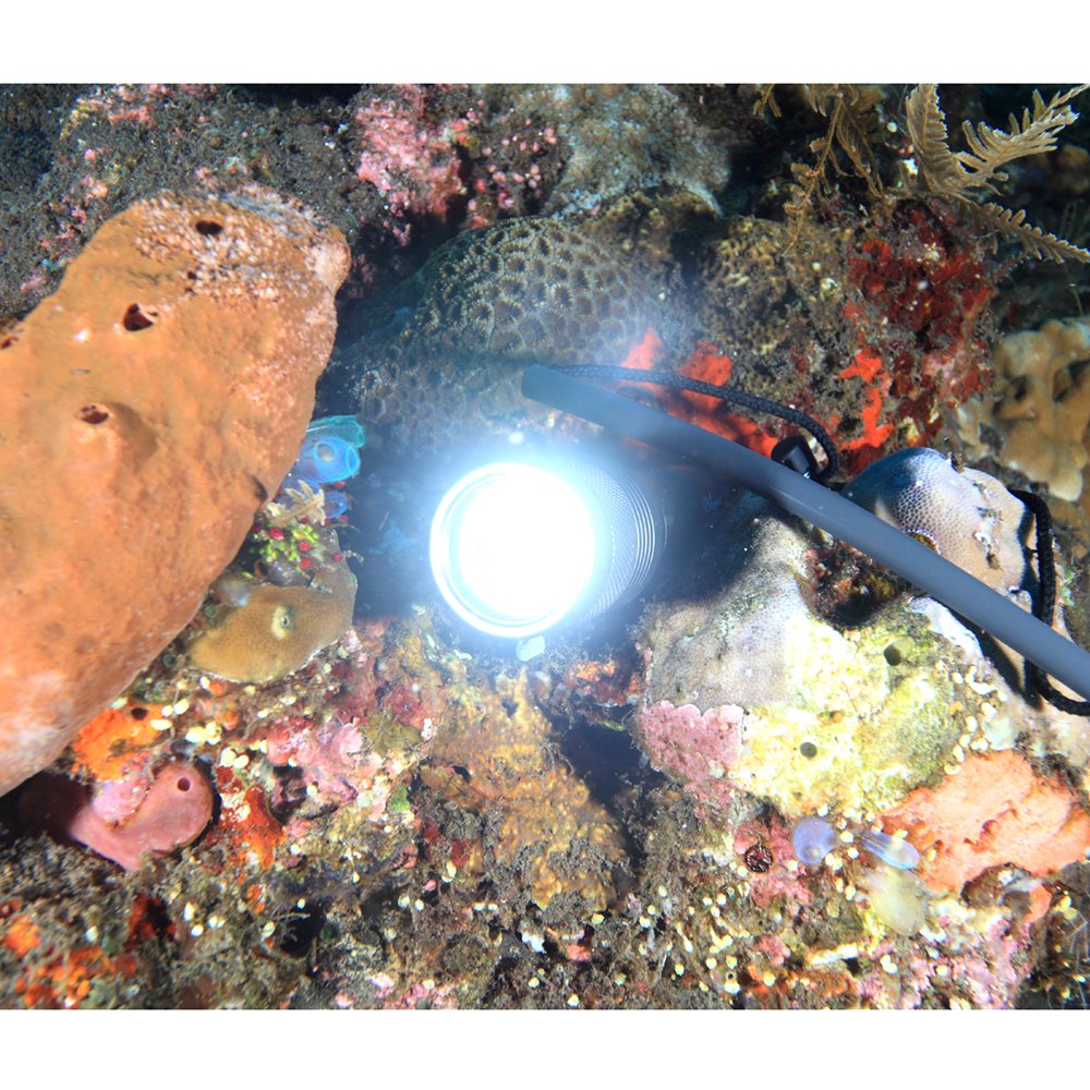 Impermeable SecurityIng 1000 Lumens LED linterna de buceo 150 m Profundidad Iluminación LED brillante lámpara Linterna Buceo luces para bucear