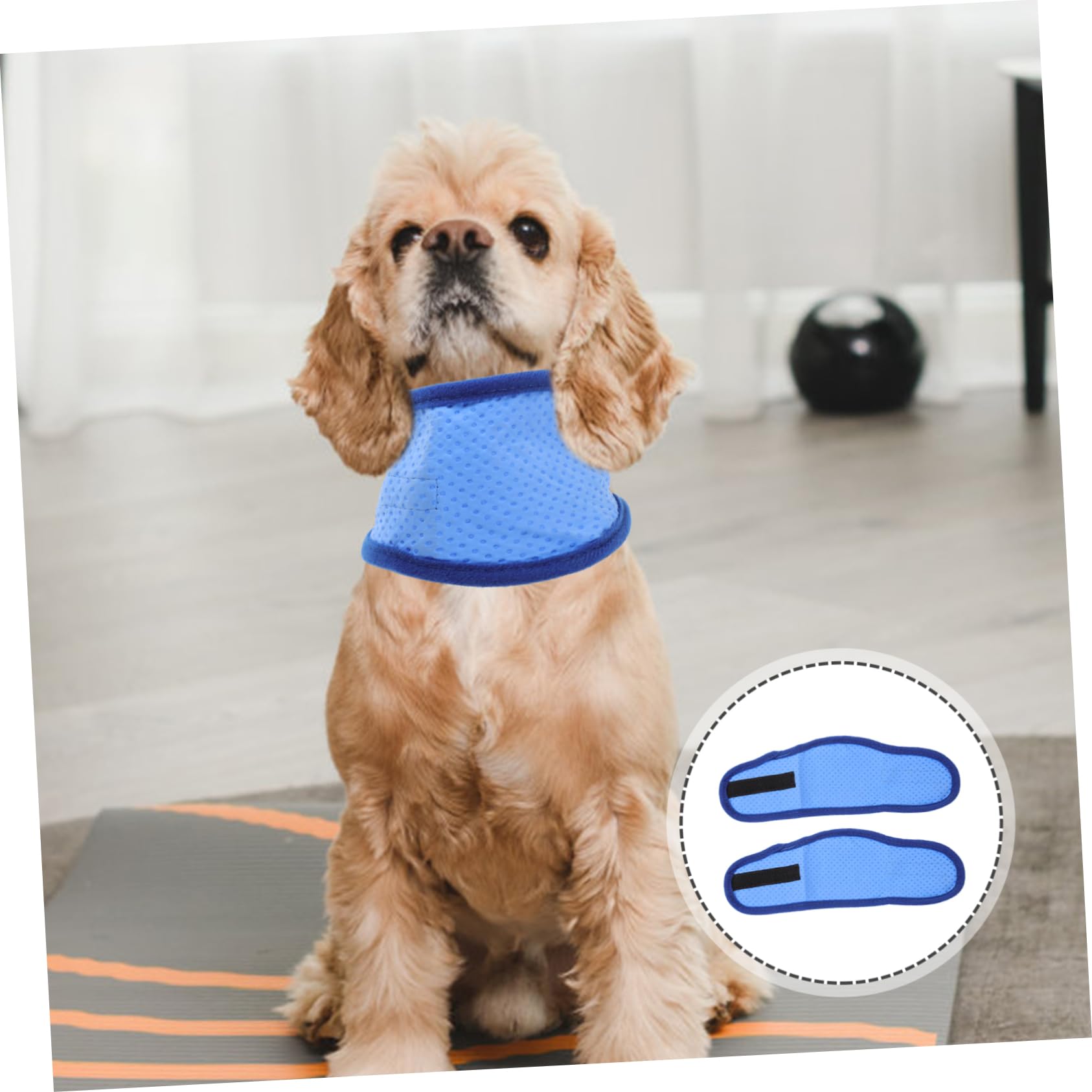 BESPORTBLE 6stücke Hundekühlhalsband Atmungsaktives Kühlbandana Für Hunde Sommer-abkühlung Effektive Kühlung Ohne Wasser Für Kleine Bis Mittelgroße Hunde