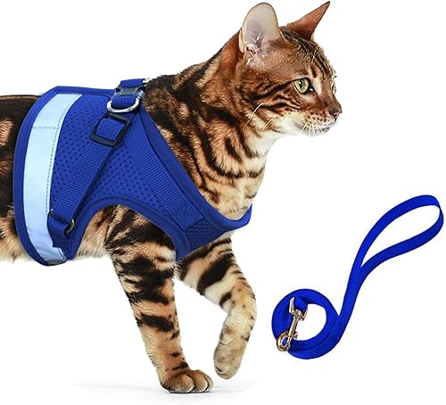 Mieux Notes Dans Harnais Pour Chats Et Commentaires Utiles Des Clients Amazon Fr Mieux Notes Dans Harnais Pour Chats Et Commentaires Utiles Des Clients Amazon Fr