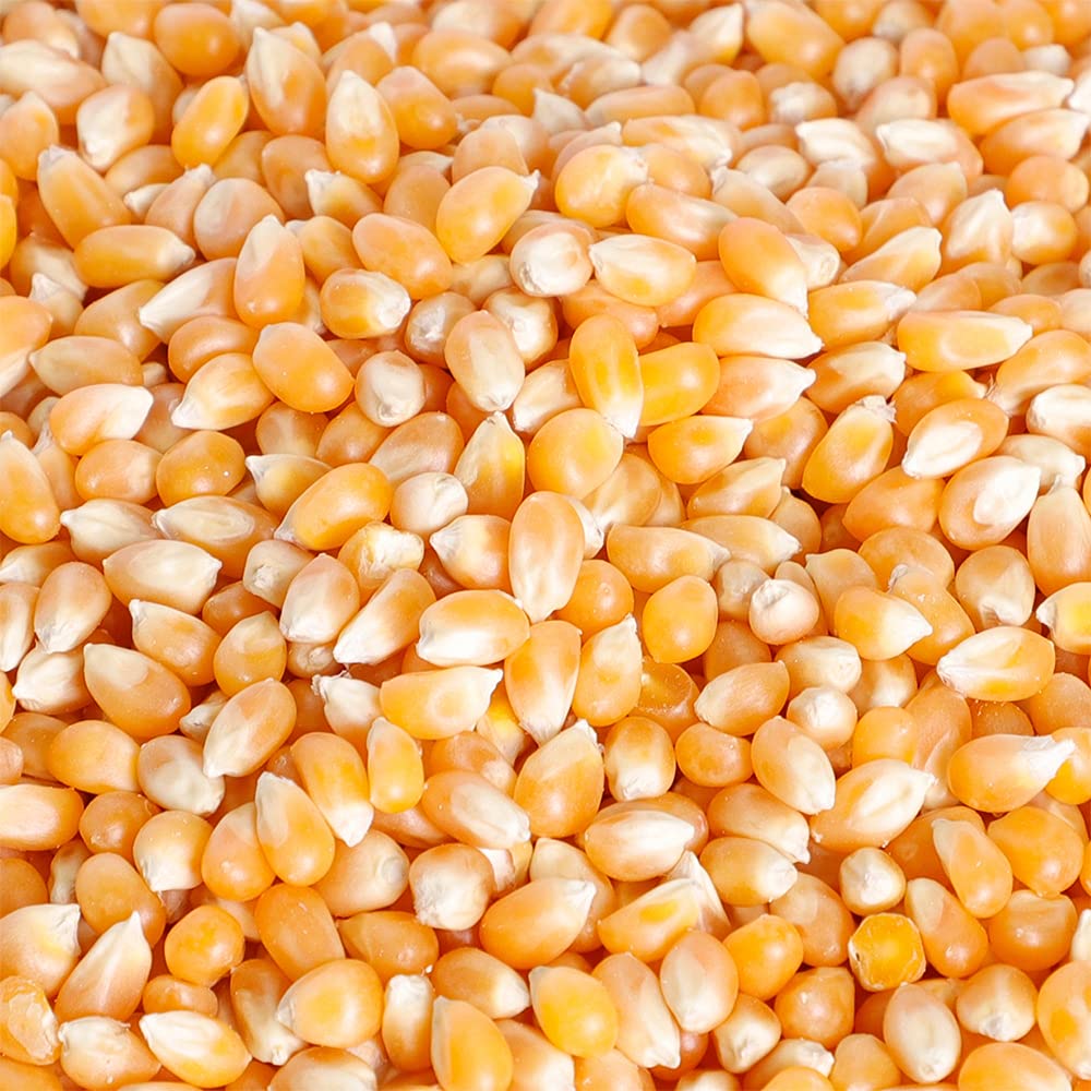 Agrogreen Pop Corn Kernels - (2 kg)