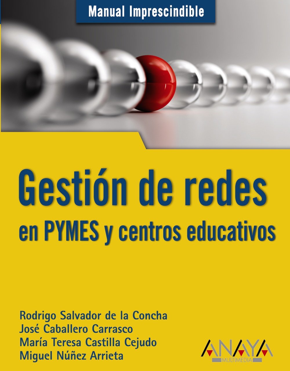 Gestión de redes en PYMES y centros educativos (Manuales Imprescindibles)