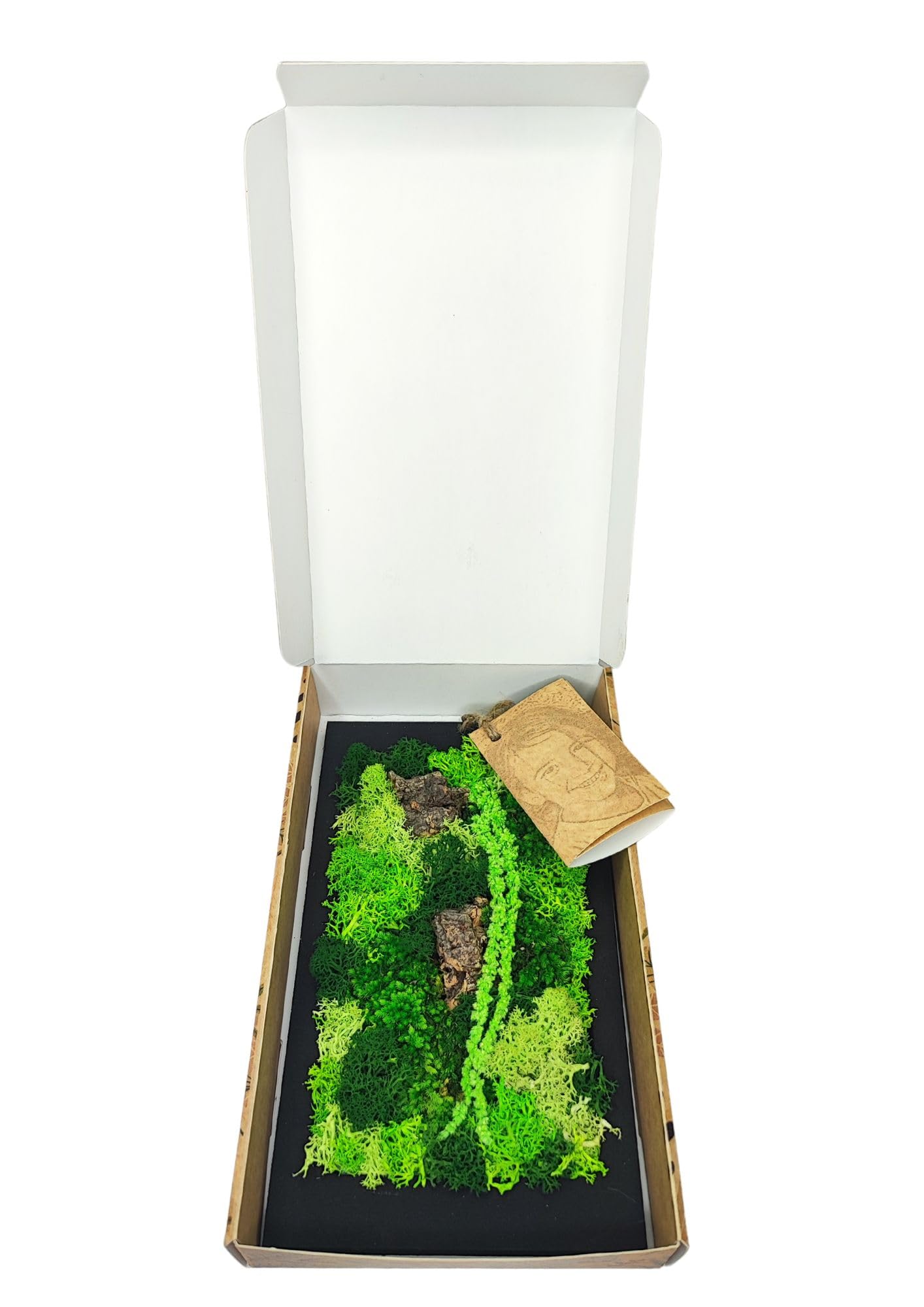 I GIARDINI DI GIULIA - Quadro da Parete in Muschio Stabilizzato | Manutenzione Zero | Design Elegante | Dimensioni Compatte 14,5x24,5 cm | Arredo Naturale | Cornice Nera, Legno