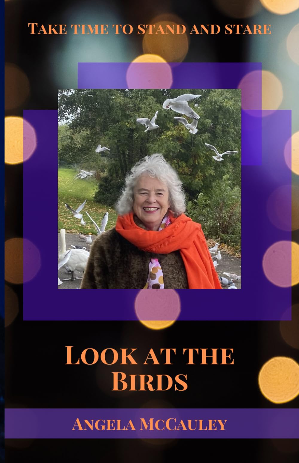 Look At The Birds