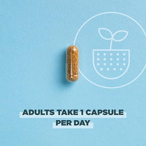 Miniatura 5 de Ancient Nutrition Probióticos regenerativos orgánicos certificados para mujeres, probióticos para mujeres una vez al día, para una digestión