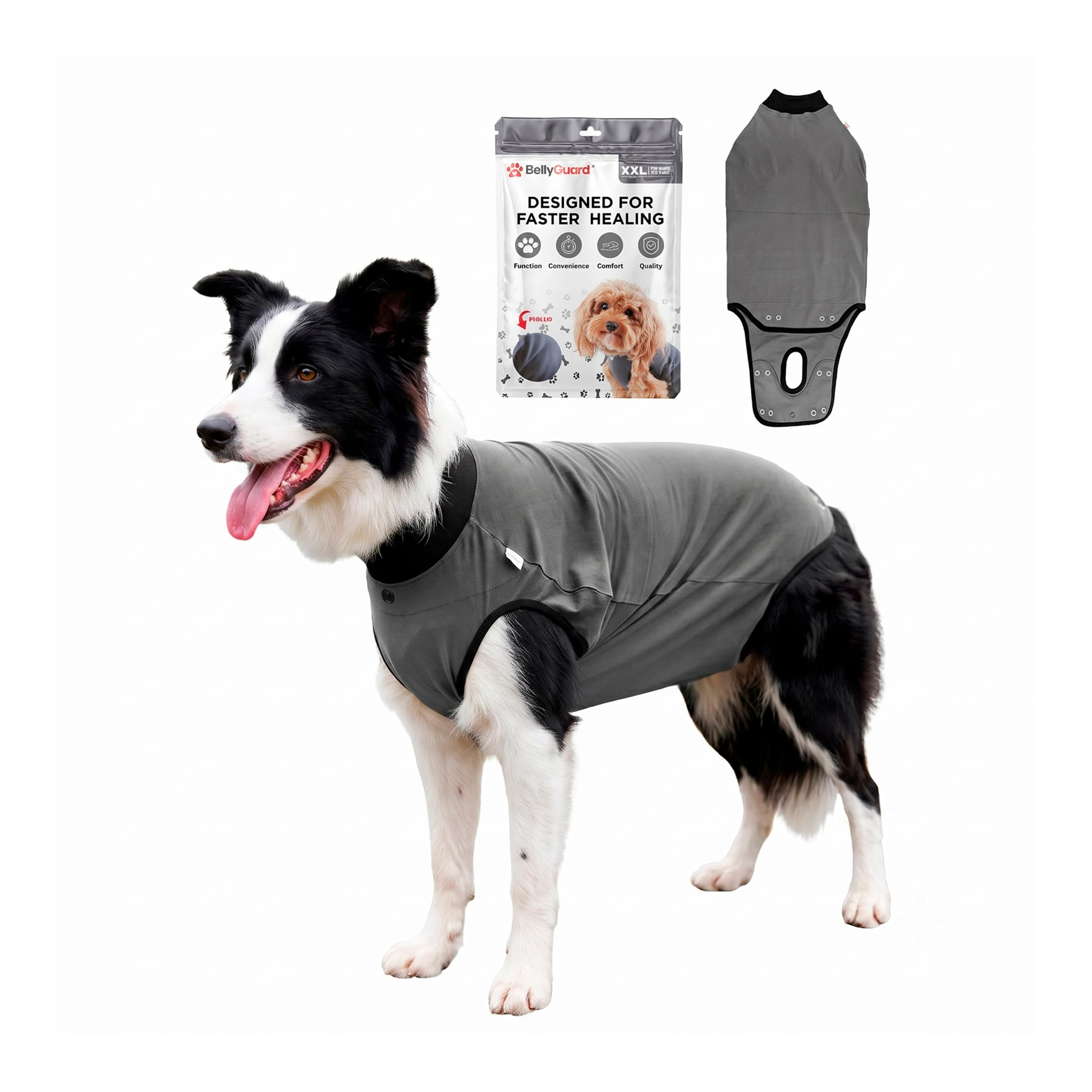 BellyGuard Dog Surgery Recovery Suit, Male Female After Spay Neuter Onesie
